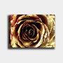 Wallity Lienzo decorativo Multicolor 70 x 100 cm